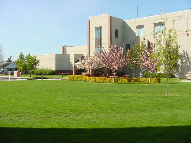 City Hall in the Spring